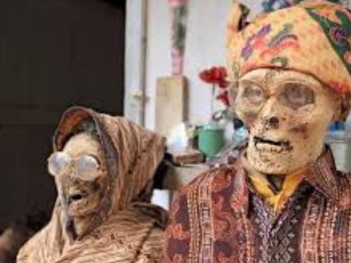 Toraja Tribe: कब्र से लाशें निकालकर करते हैं ये गंदा काम, इस अजीबोगरीब जनजाति के बारे में जानकर छूटेंगे पसीने - Photo Gallery