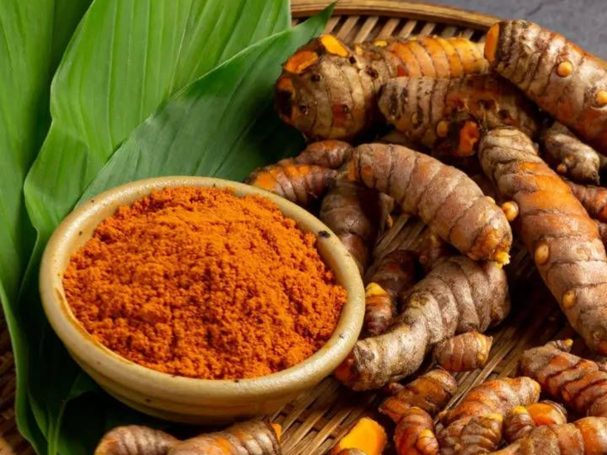 turmeric - Photo Gallery