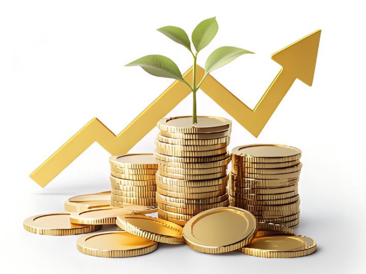 SIP Investment - Photo Gallery