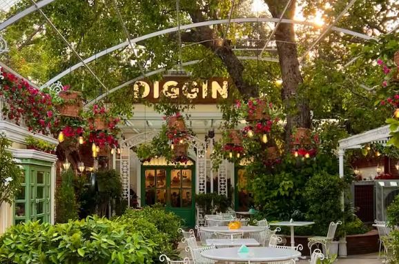 Diggin - Photo Gallery