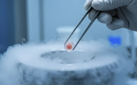 What is Egg Freezing? - Photo Gallery