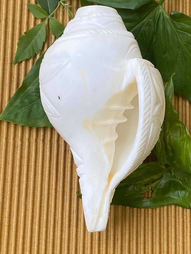 Negative Energy Remedies: घर की नेगेटिव एनर्जी दूर करने के 9 आसान उपाय - Photo Gallery