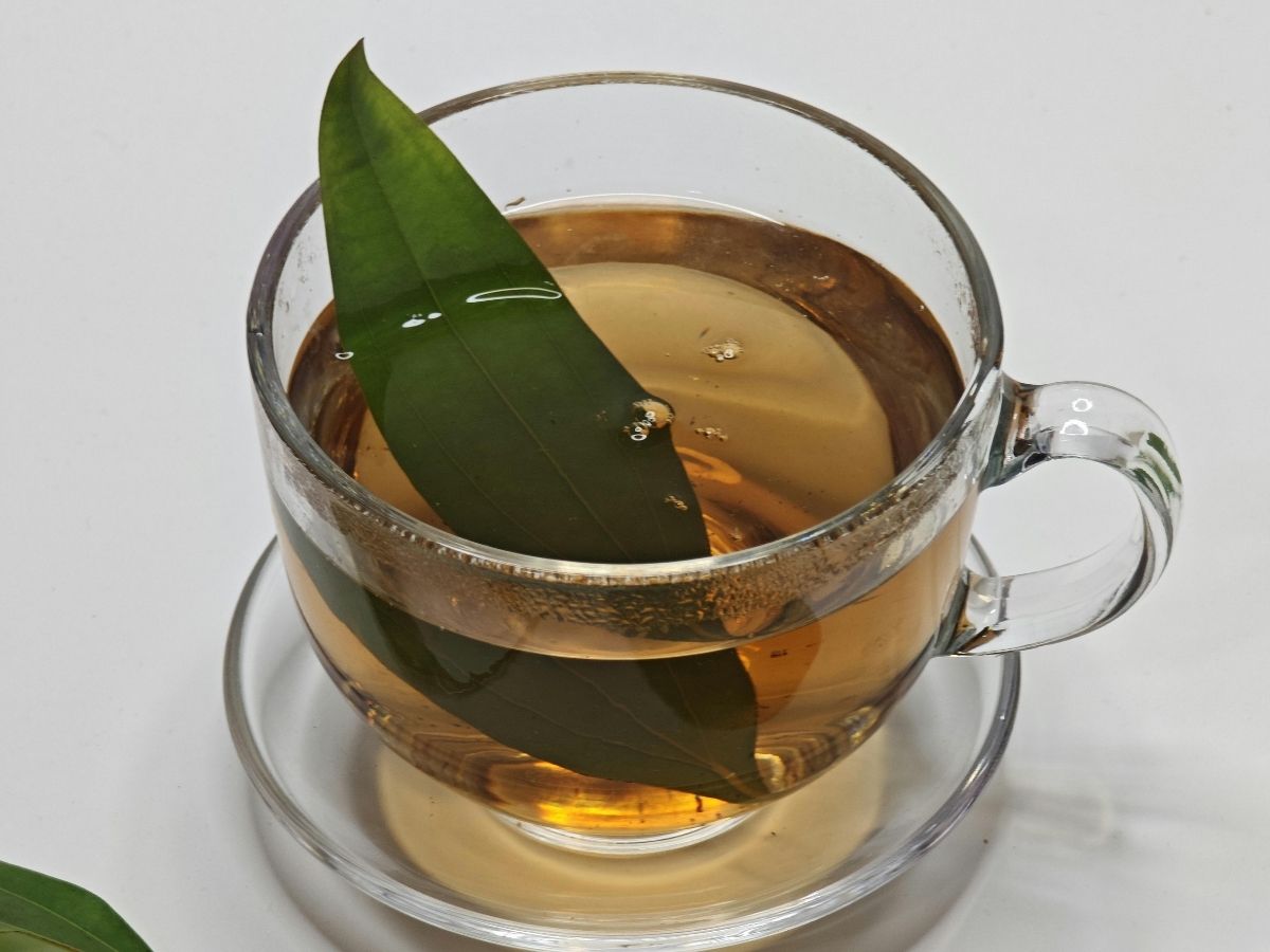 रसोई का साधारण मसाला, सेहत का पावरहाउस…तेजपत्ते की चाय से वेट लॉस; BP और इम्यूनिटी सब कंट्रोल - Photo Gallery