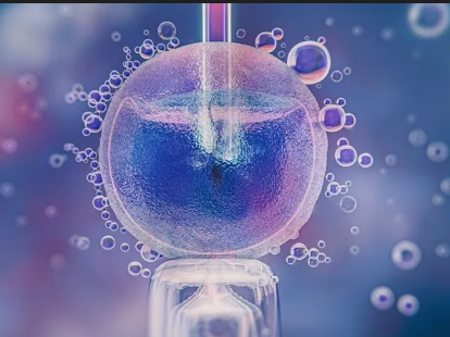 Egg Freezing Cost in India - Photo Gallery