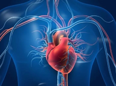 To Keep The Heart Healthy - Photo Gallery