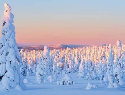 Finland: A view of the Arctic Circle - Photo Gallery