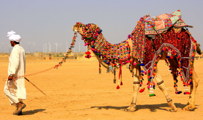 Desert Safari - Photo Gallery