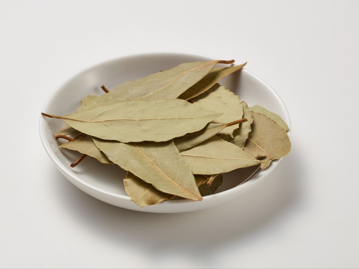 रसोई का साधारण मसाला, सेहत का पावरहाउस…तेजपत्ते की चाय से वेट लॉस; BP और इम्यूनिटी सब कंट्रोल - Photo Gallery