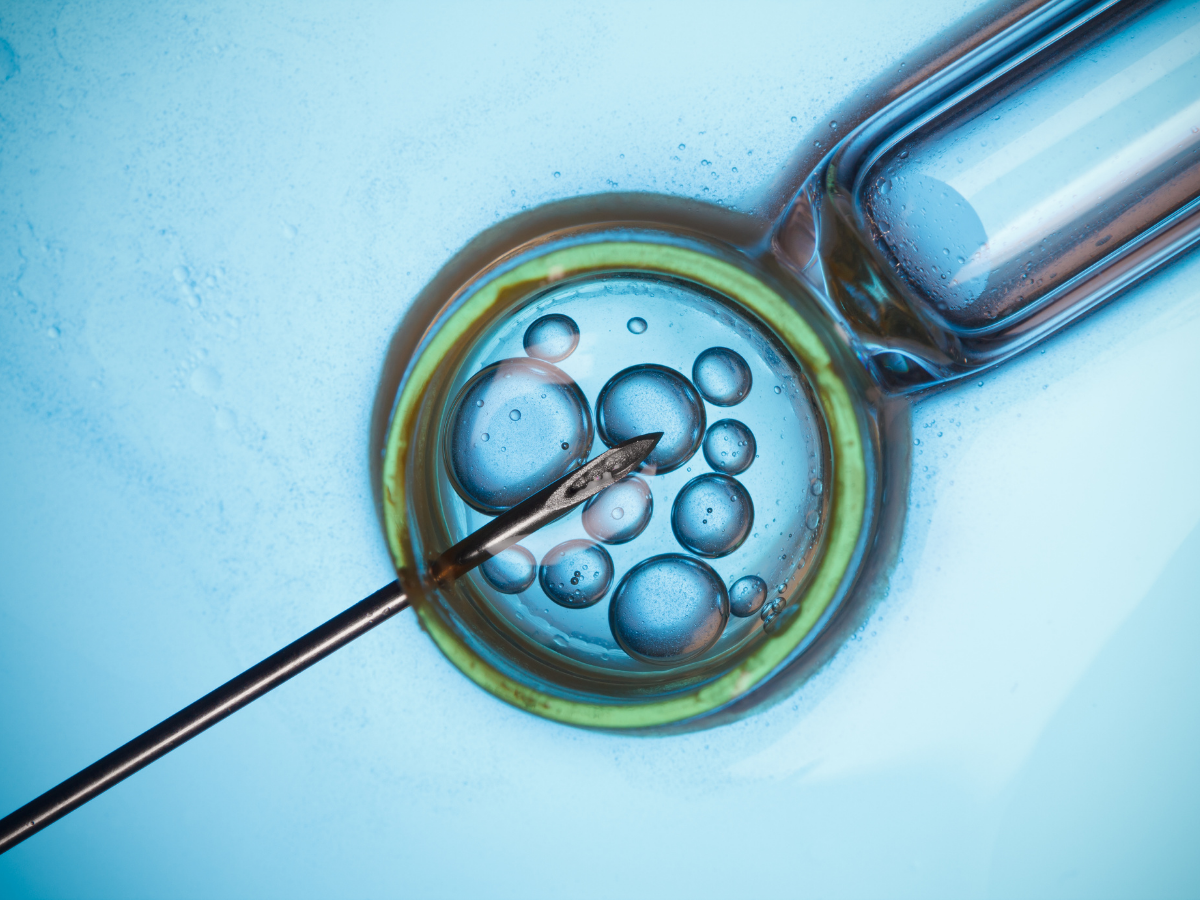 IVF Cost In India: इलाज मतलब कर्ज! सरकारी रिपोर्ट में सामने आया हैरान कर देने वाला आकड़ा; भारतीय दंपतियों की बढ़ाई परेशानी - Photo Gallery