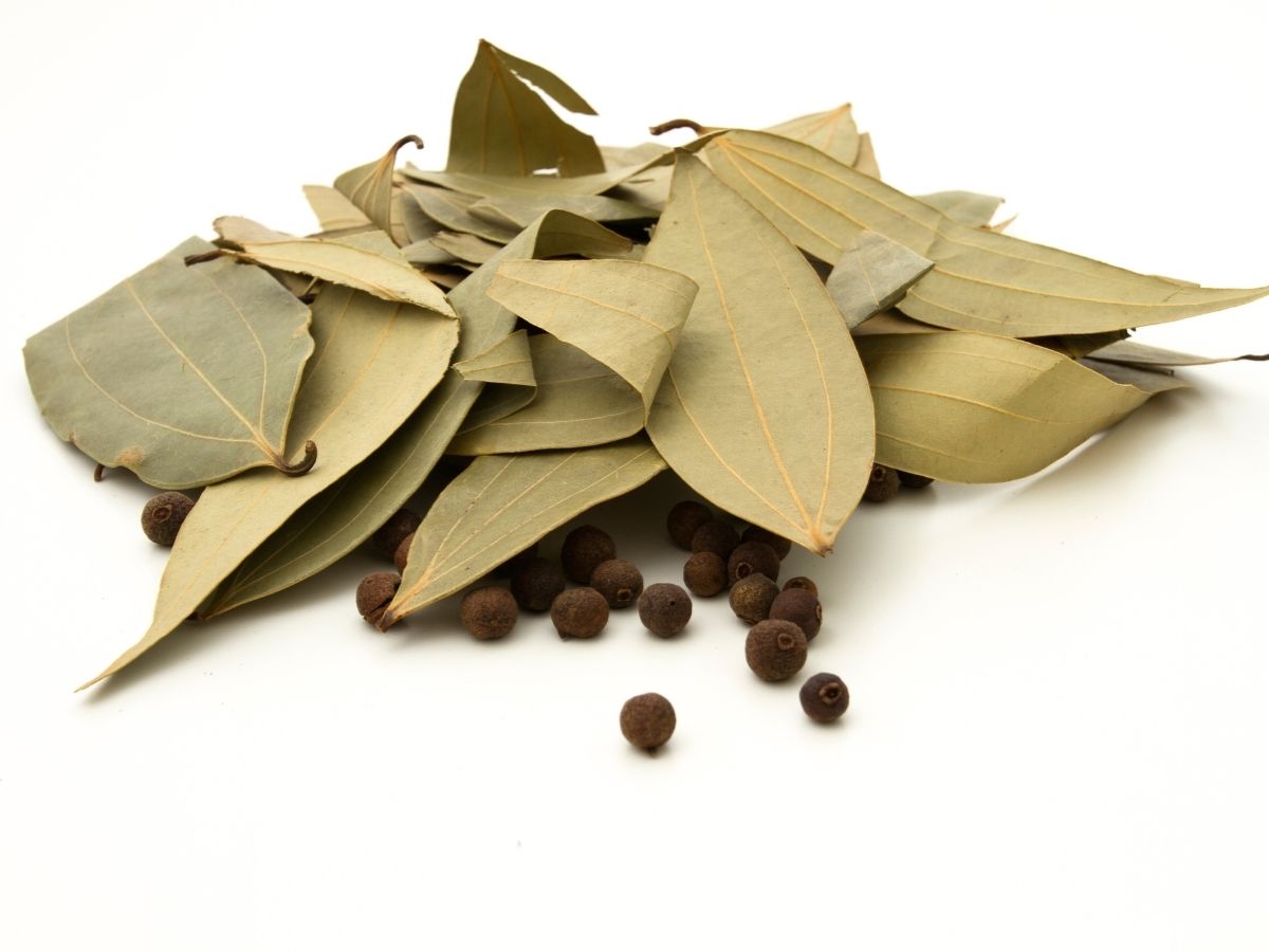 रसोई का साधारण मसाला, सेहत का पावरहाउस…तेजपत्ते की चाय से वेट लॉस; BP और इम्यूनिटी सब कंट्रोल - Photo Gallery