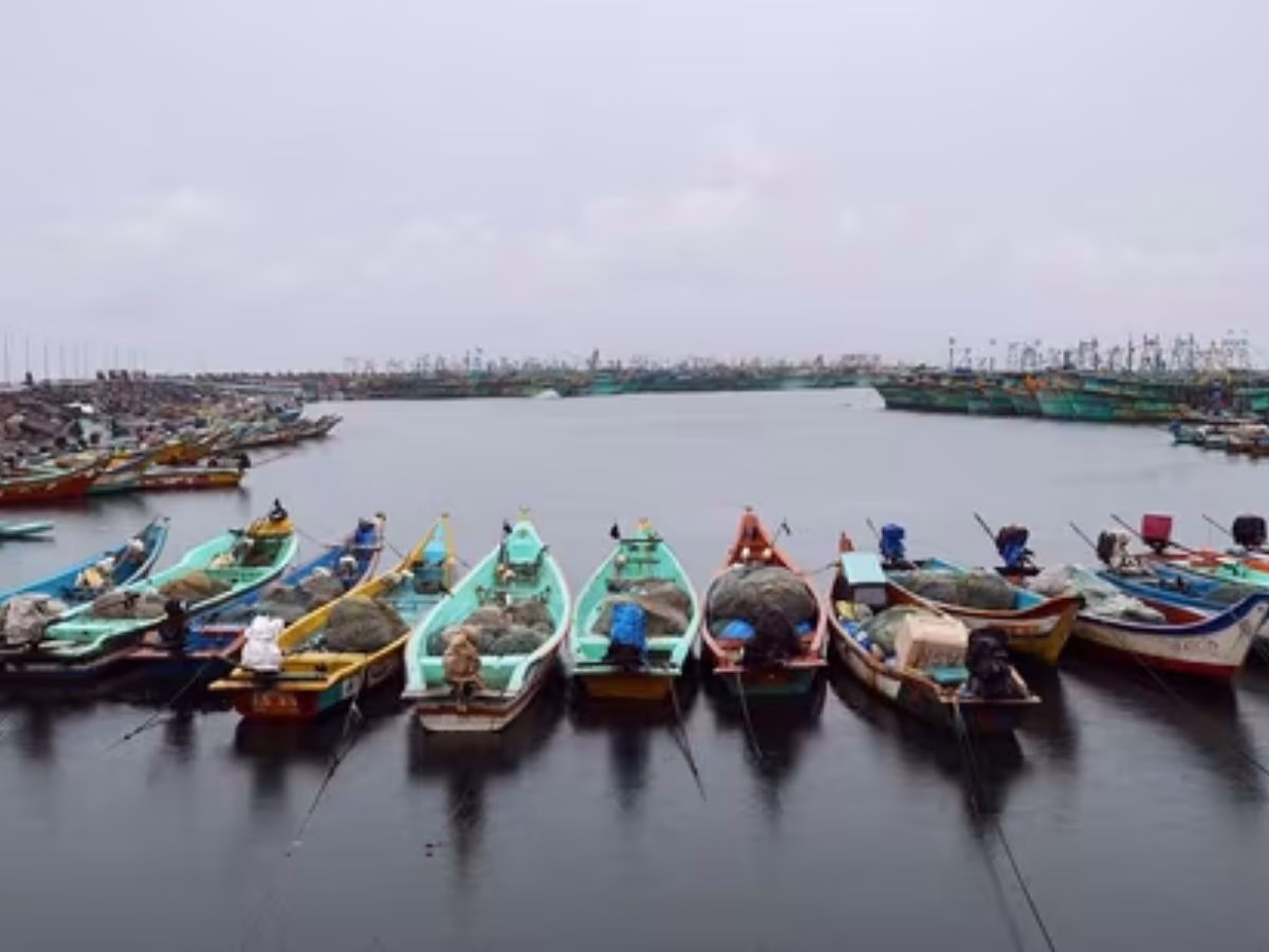 Cyclone Ditwah - Photo Gallery