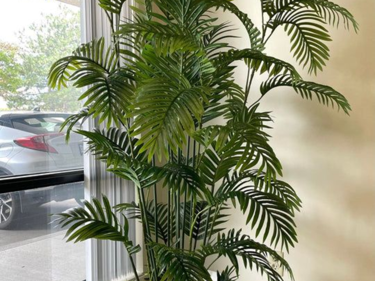 artificial plants - Photo Gallery