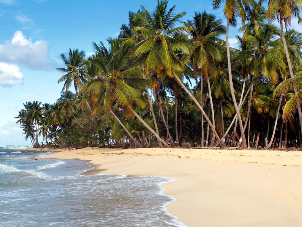 beach 1 - Photo Gallery