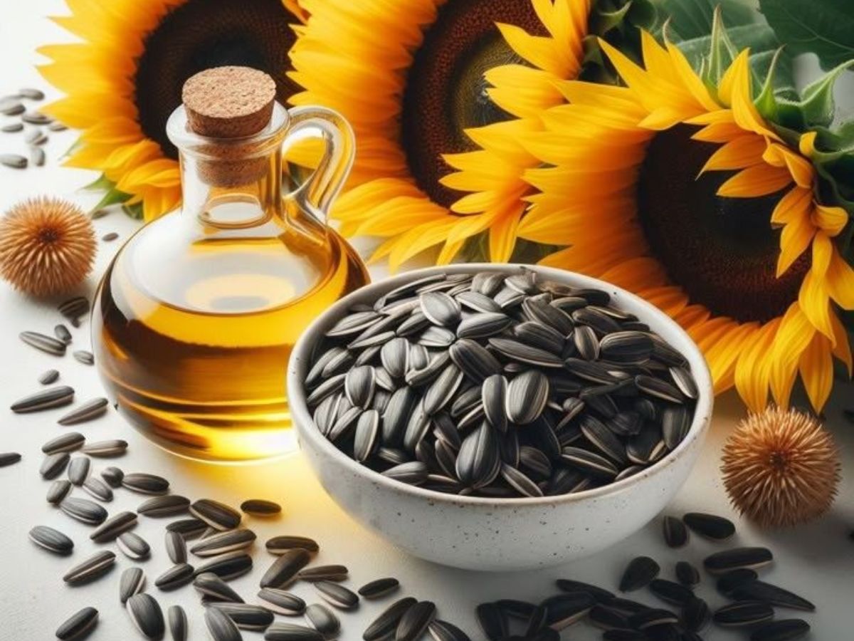 benefits of sunflower seeds - Photo Gallery