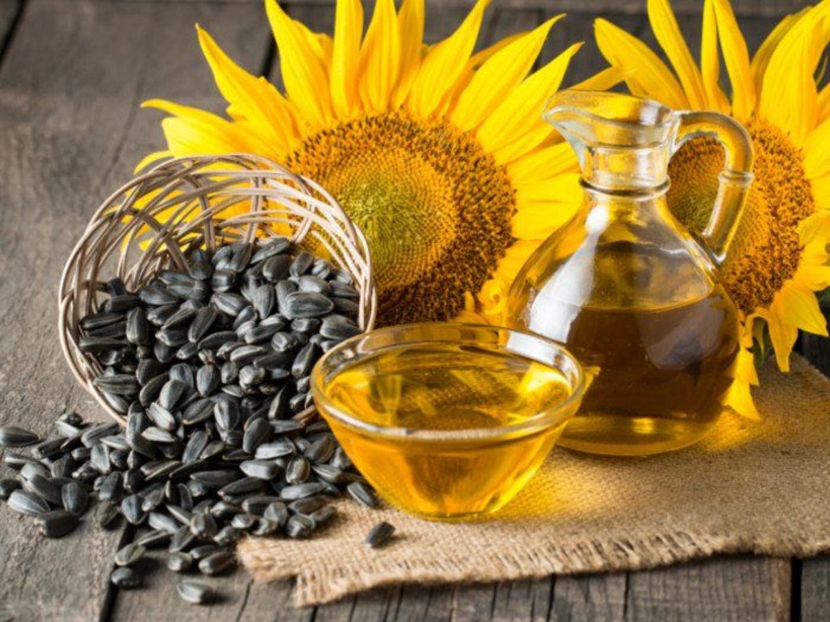 benefits sunflower seeds - Photo Gallery