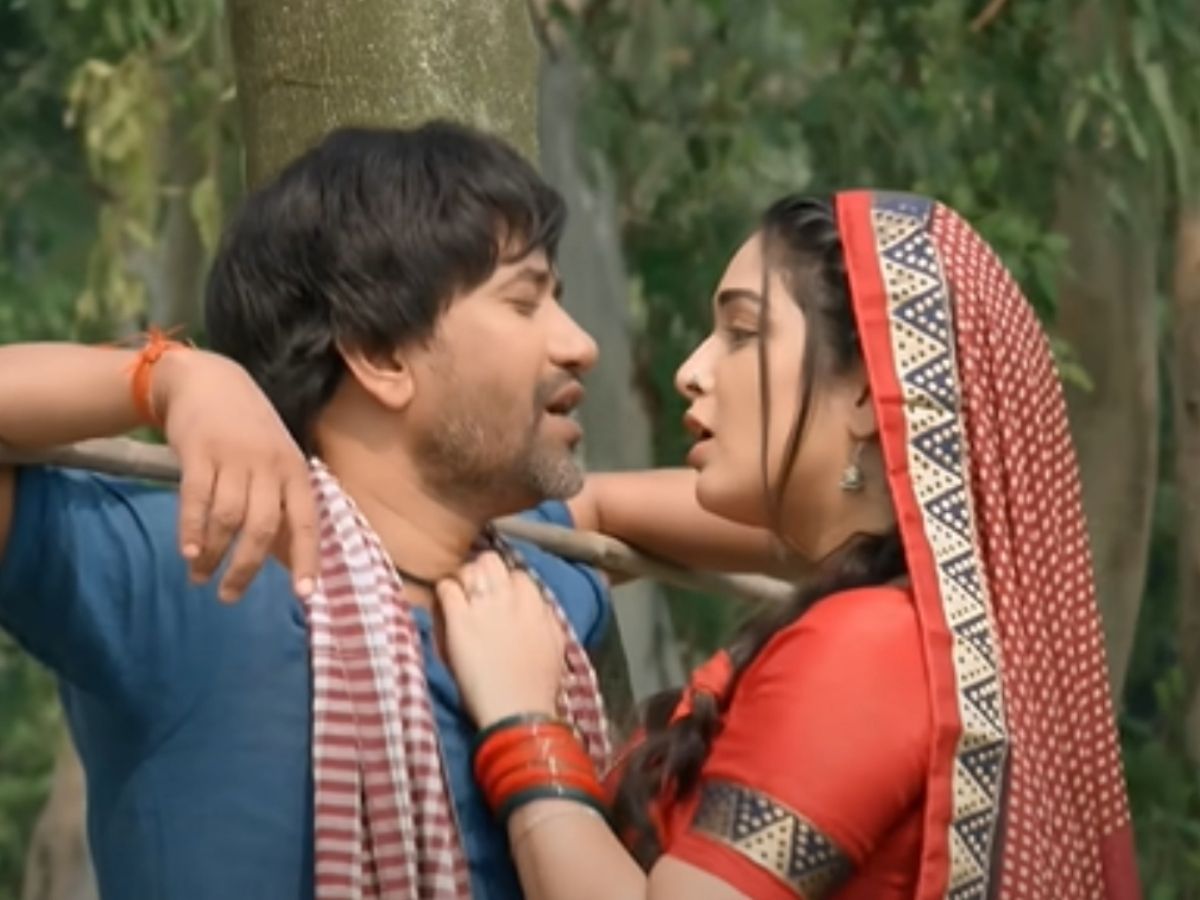 कार्तिक आर्यन से लेकर ऋतिक रोशन तक, भोजपुरी गानों पर लगा चुके हैं ठुमके; बॉलीवुड इन वायरल भोजपुरी गानों का है दीवाना - Photo Gallery