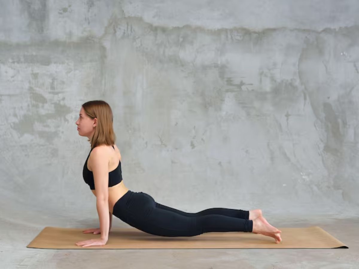 Bhujangasana  1 - Photo Gallery