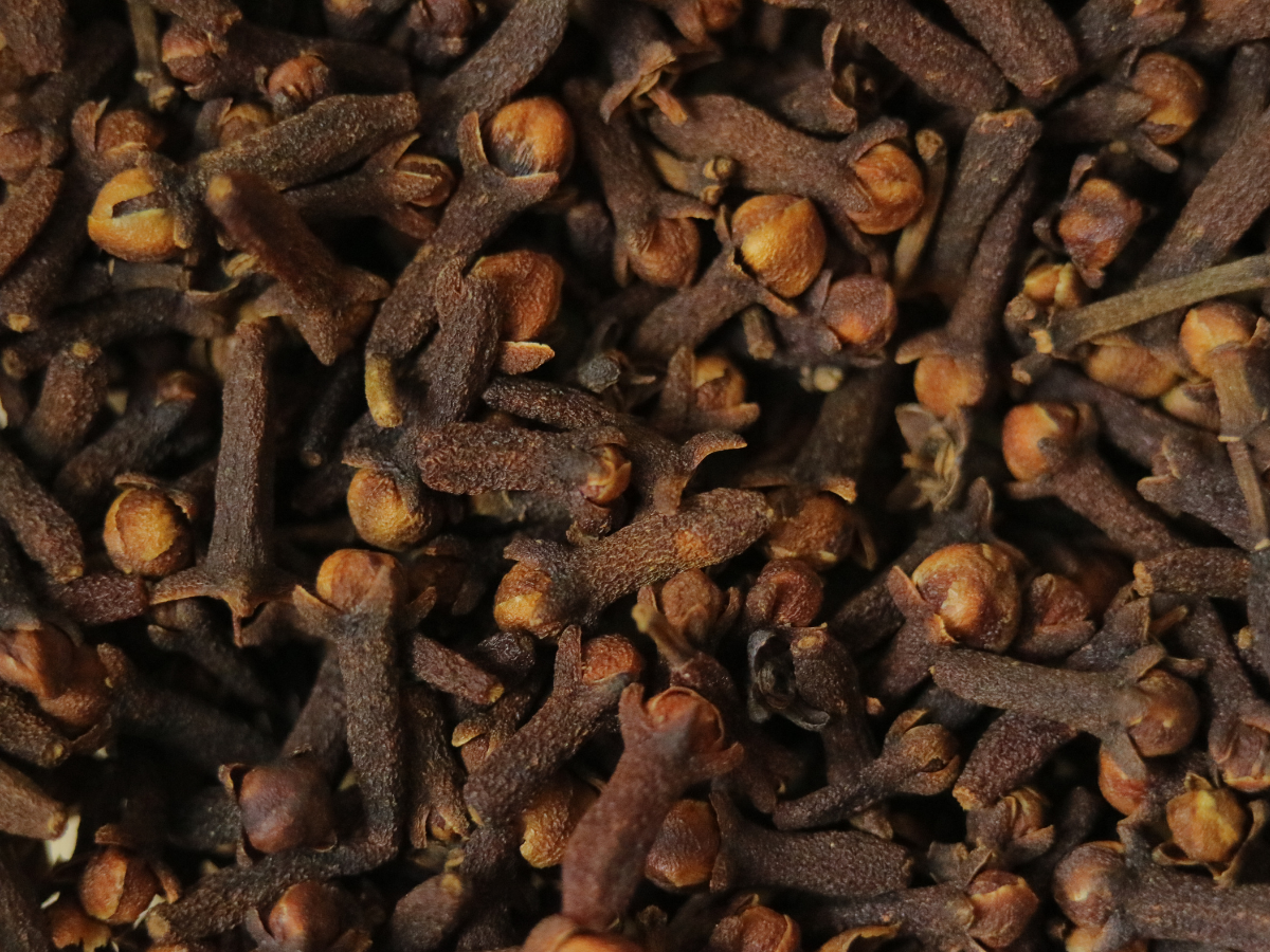 दांत खा रहा काला कीड़ा? नमक-तेल नहीं, खा लें यह चीज; तुरंत मिलेगा आराम - Photo Gallery