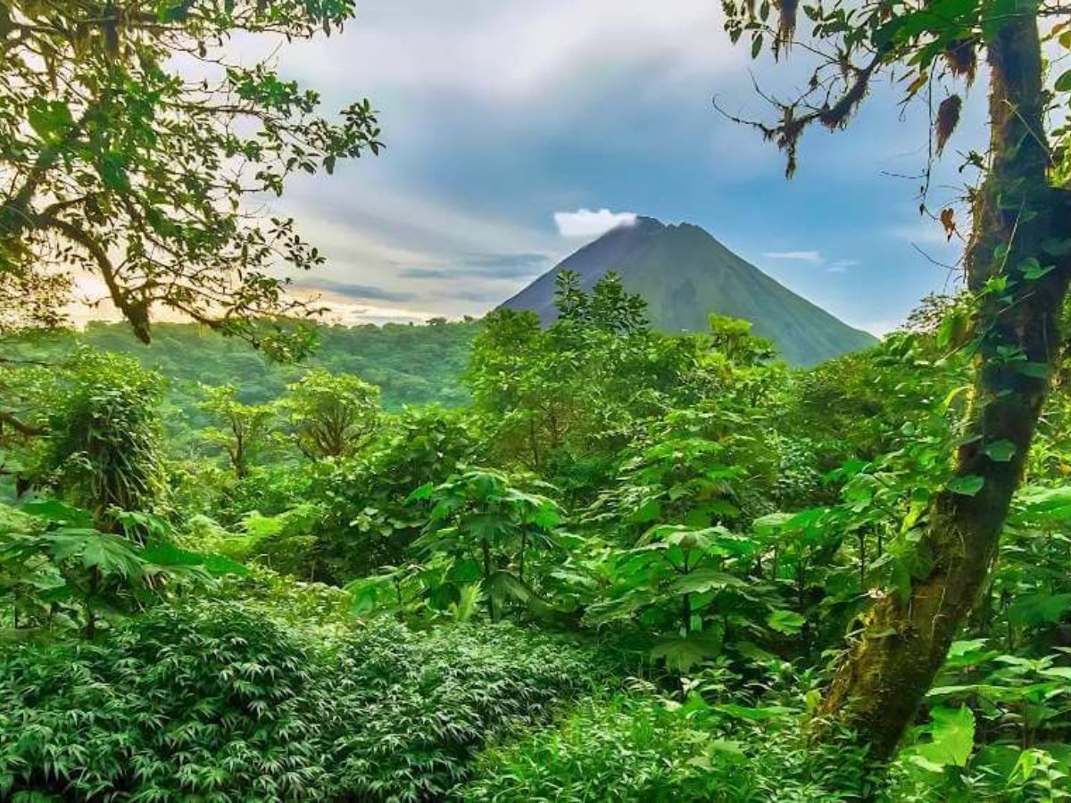 Eco-Friendly Year-End Holidays: भूल जाइए मनाली की भीड़! ये हैं देश-दुनिया की 10 सबसे प्रदूषण मुक्त जगहें, जहां बिना मास्क के मनाएं नए साल का जश्न - Photo Gallery