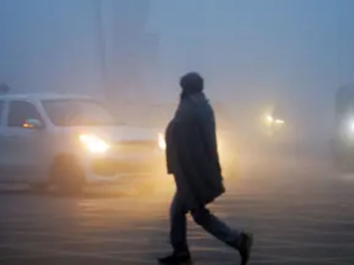 Delhi-NCR Weather: घने कोहरे की चादर में लिपटा दिल्ली-NCR, सड़के हुई गुम…ठंड से लोगों की हालत खराब! - Photo Gallery