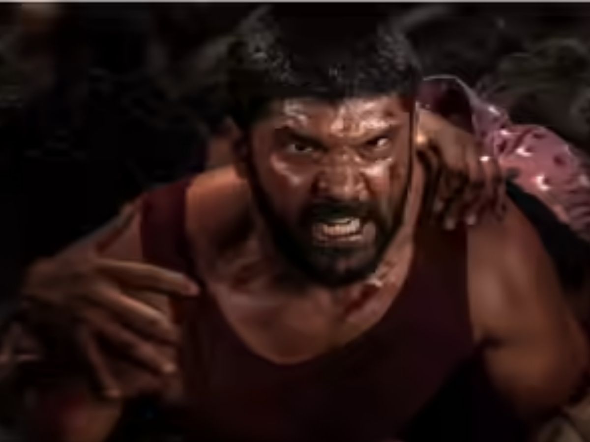 साल 2025 में इन सितारों ने लूटी महफिल, पर्दे पर दिखा किलर अंदाज; जानें कौन-कौन है इस लिस्ट में शामिल? - Photo Gallery