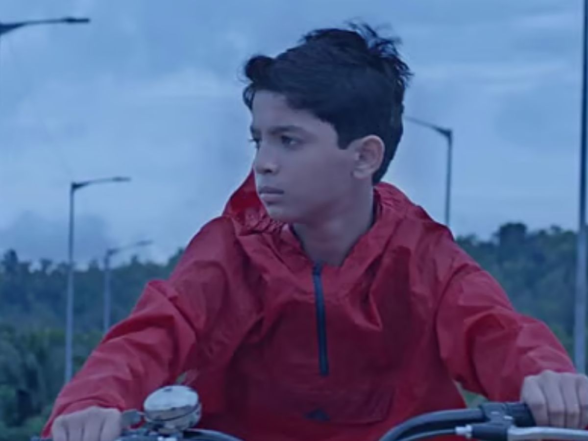 साल 2025 में इन सितारों ने लूटी महफिल, पर्दे पर दिखा किलर अंदाज; जानें कौन-कौन है इस लिस्ट में शामिल? - Photo Gallery