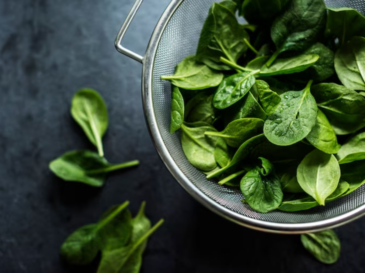 egg protein 1 - Photo Gallery