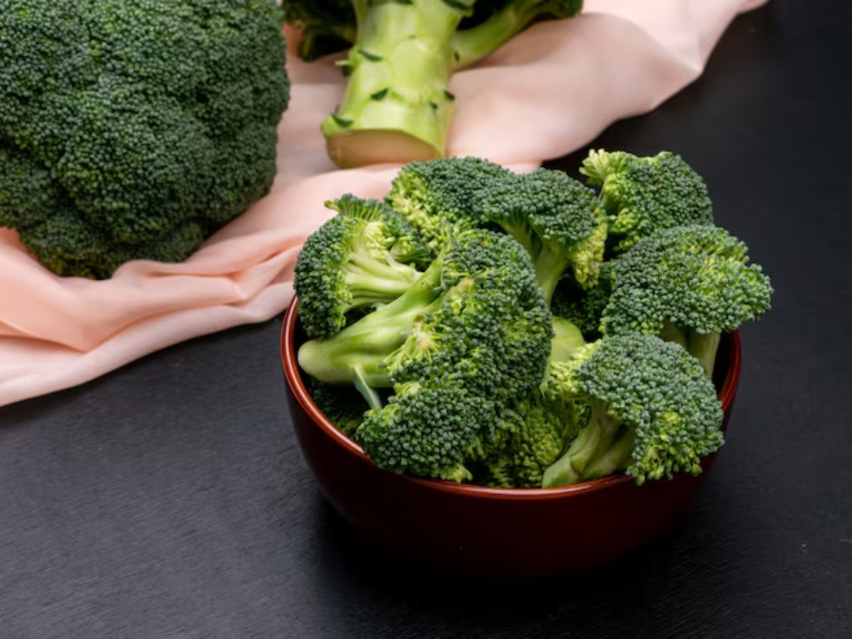 egg protein 4 - Photo Gallery