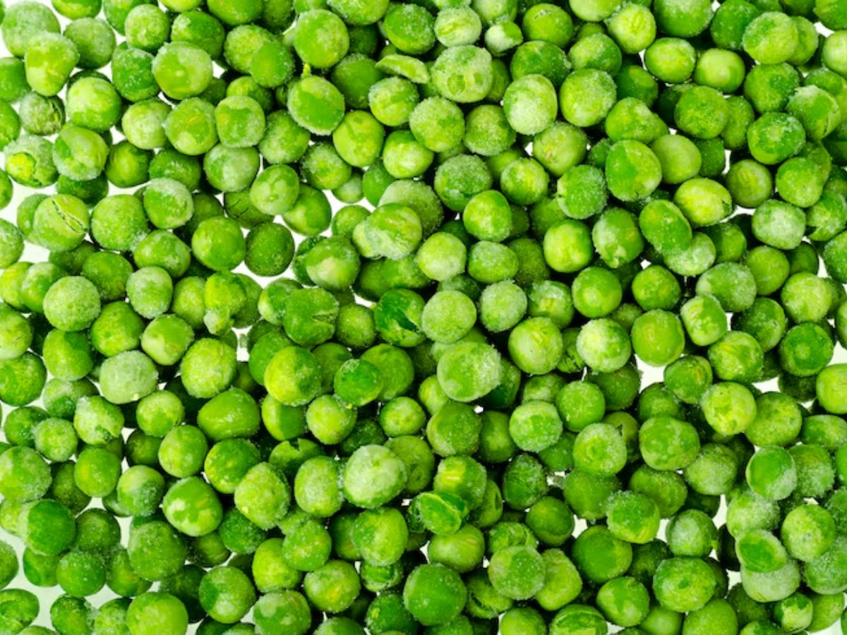 egg protein 6 - Photo Gallery