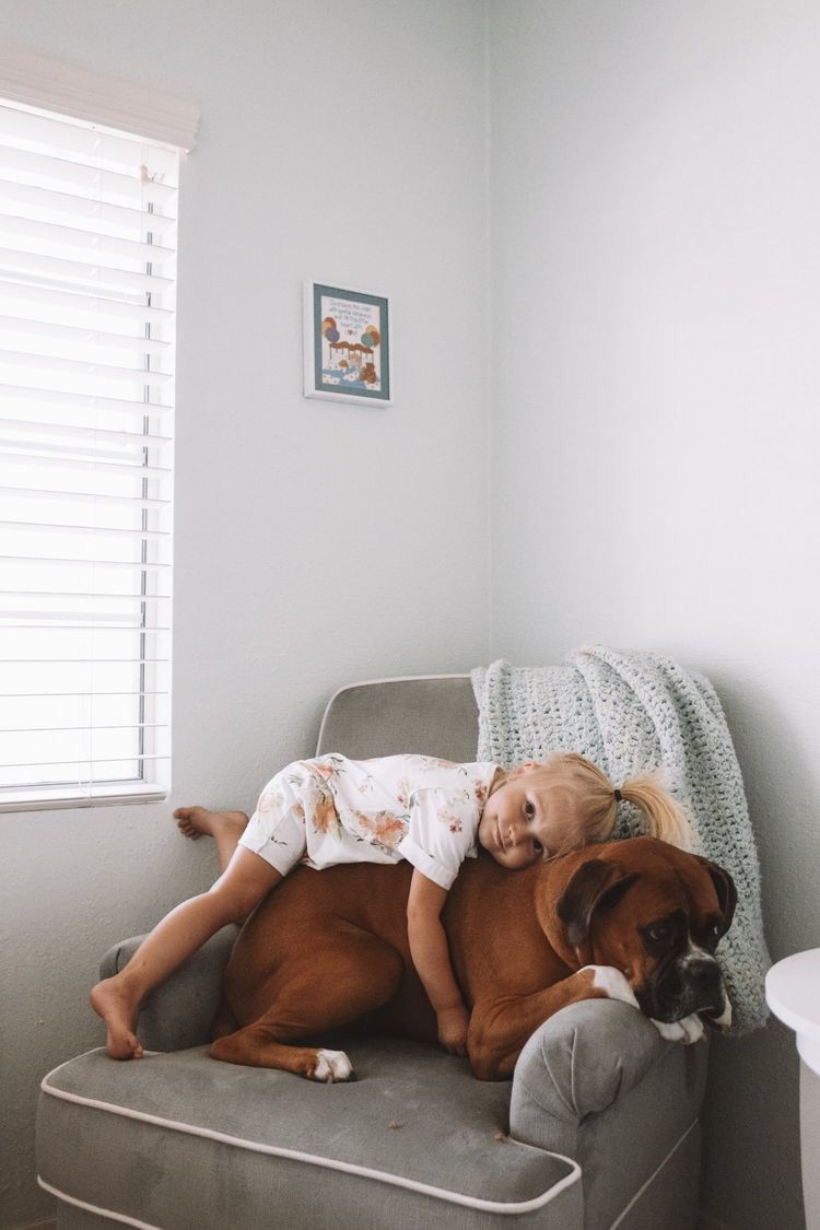 Dog Astrology: किस रंग का कुत्ता पालना होता है शुभ? - Photo Gallery