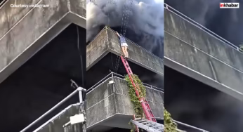 सैल्यूट! सिबू की ‘फर मॉम’ ने अपनी जान दांव पर लगाकर बचाई कुत्तों की जान, आग में जलकर राख हुआ घर!