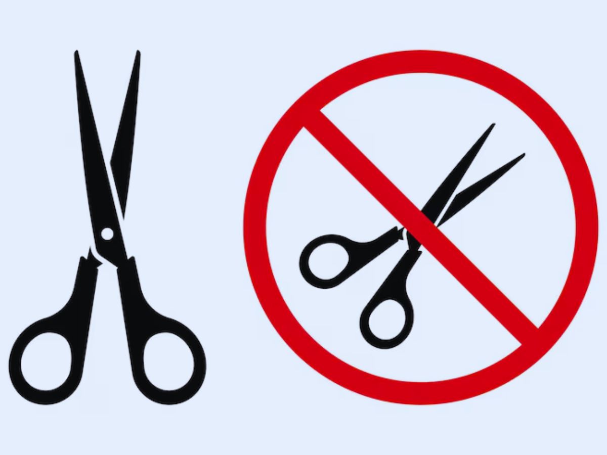 flight 2 - Photo Gallery