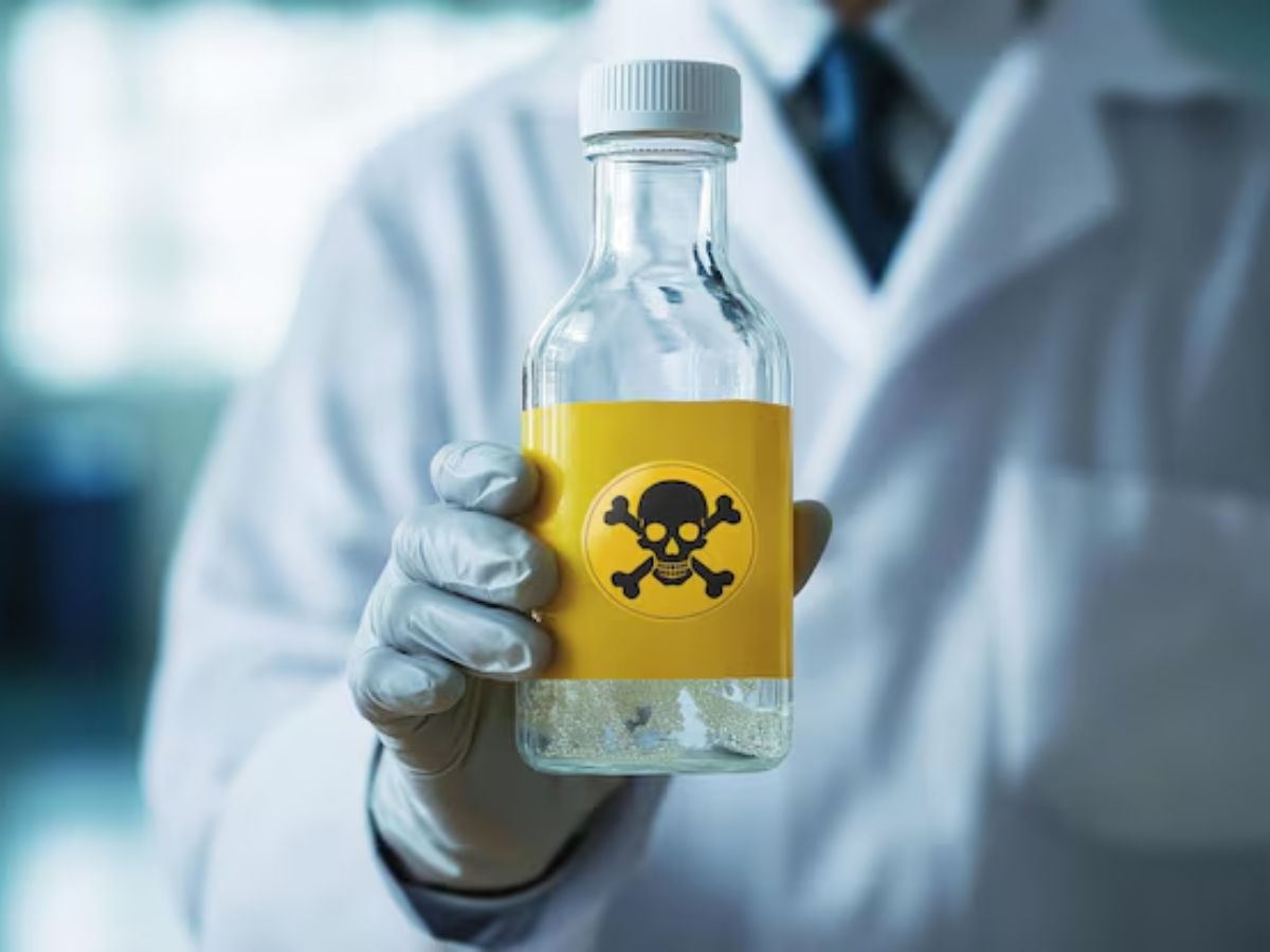 flight 6 - Photo Gallery