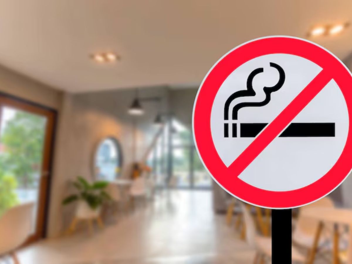 fresh air 2 - Photo Gallery