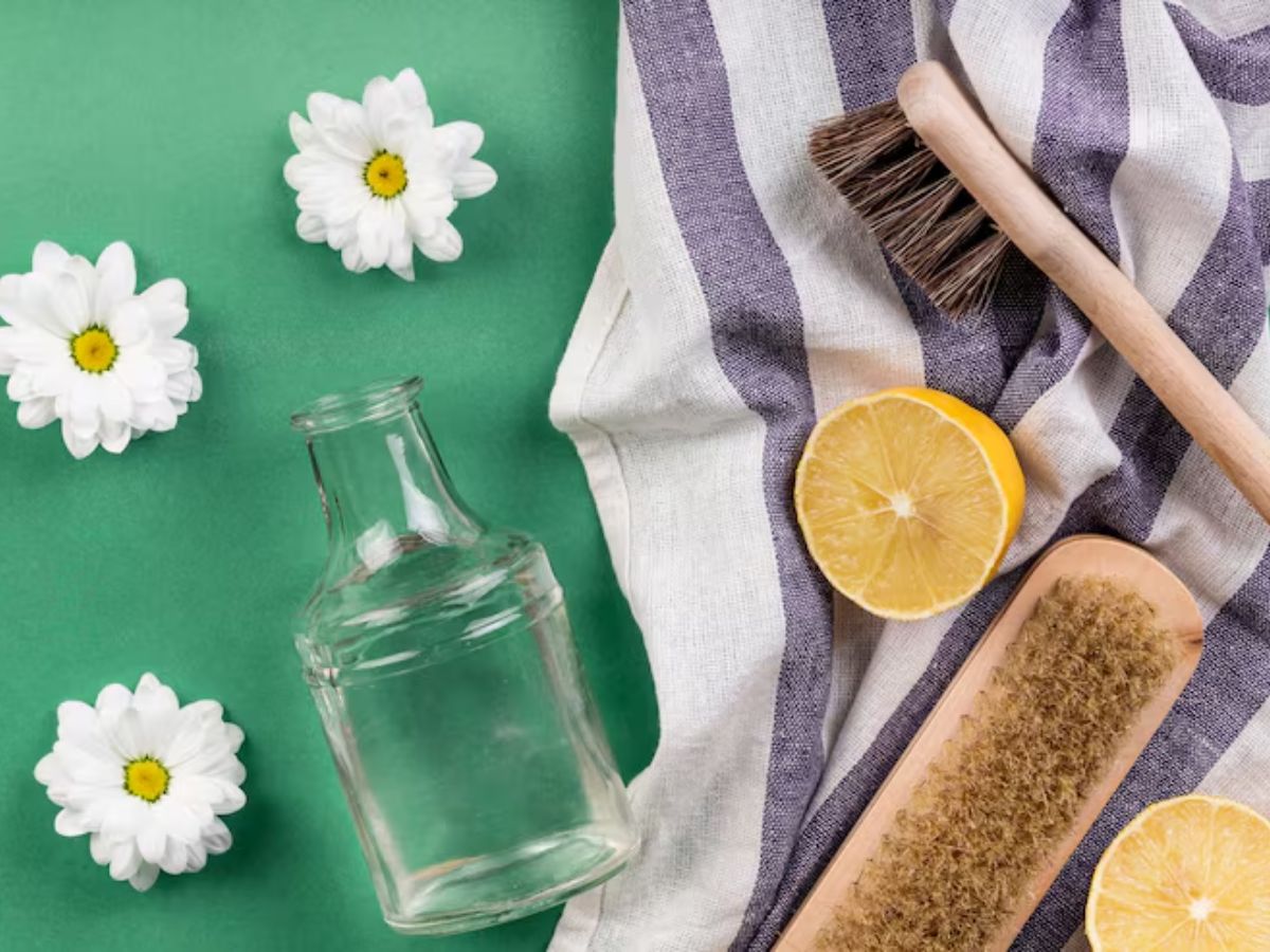 fresh air 3 - Photo Gallery