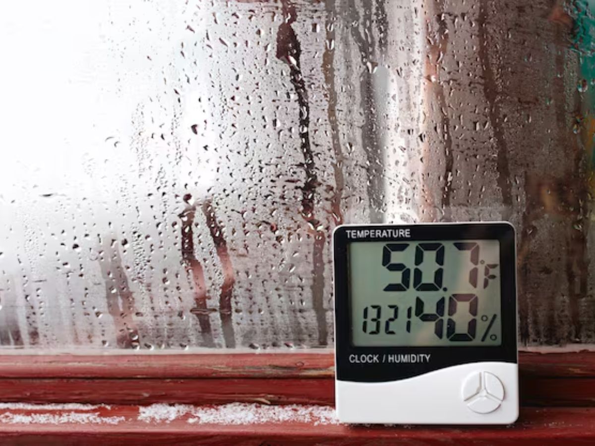 fresh air 6 - Photo Gallery