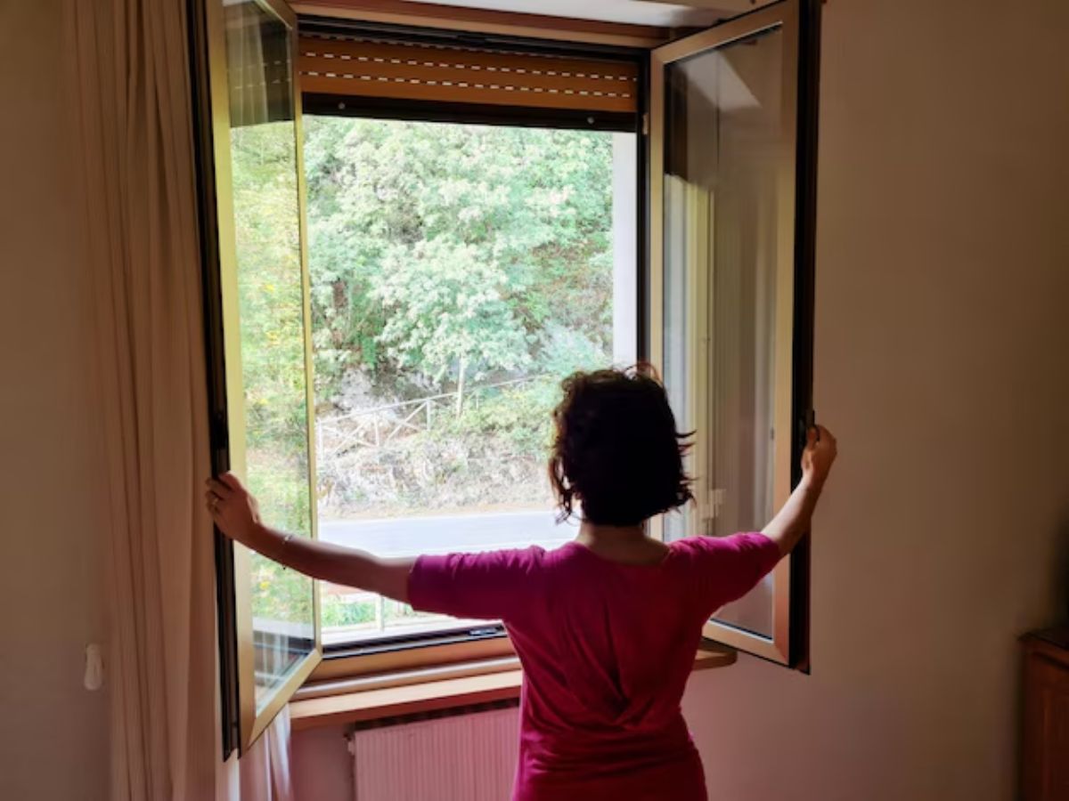 fresh air 7 - Photo Gallery