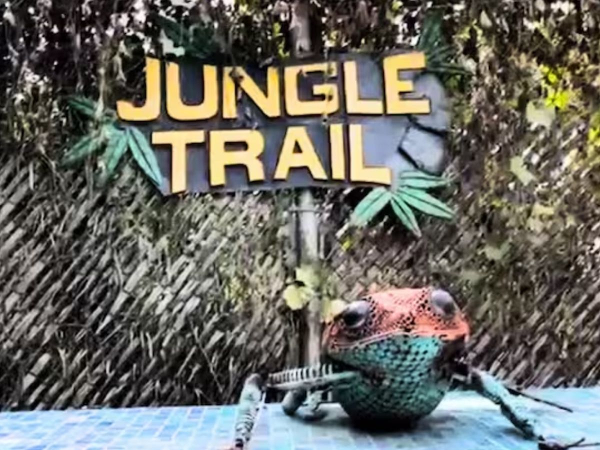 नोएडा में खुला दुनिया का सबसे बड़ा आर्टिफिशियल जंगल सफारी! घूमने की ये जगह देख भूल जाएंगे एडवेंचर पार्क - Photo Gallery