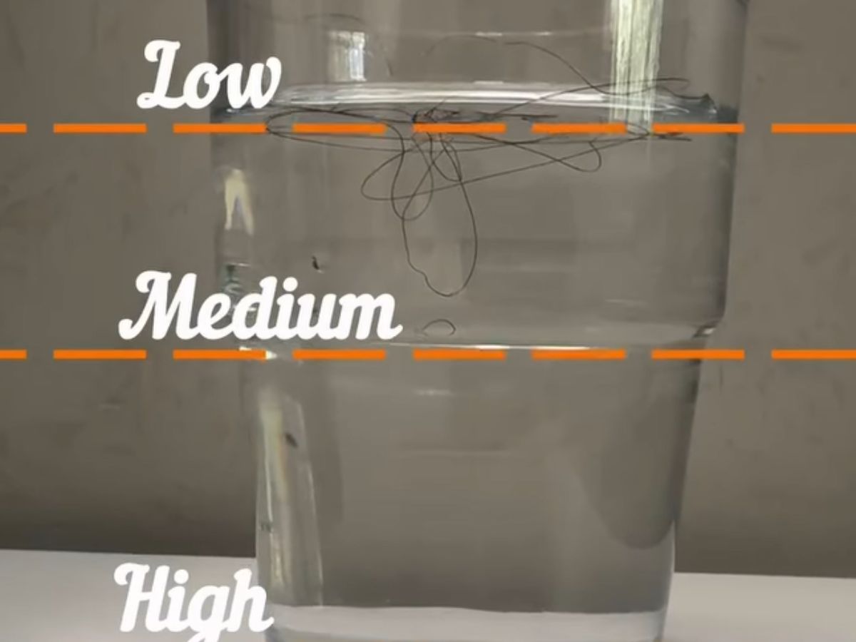 hair porosity 4 - Photo Gallery