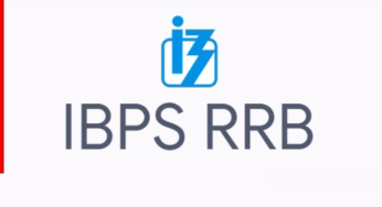 IBPS RRB Clerk Admit Card 2025: आईबीपीएस आरआरबी क्लर्क एडमिट कार्ड जारी, जानें डाउनलोड करने का तरीका