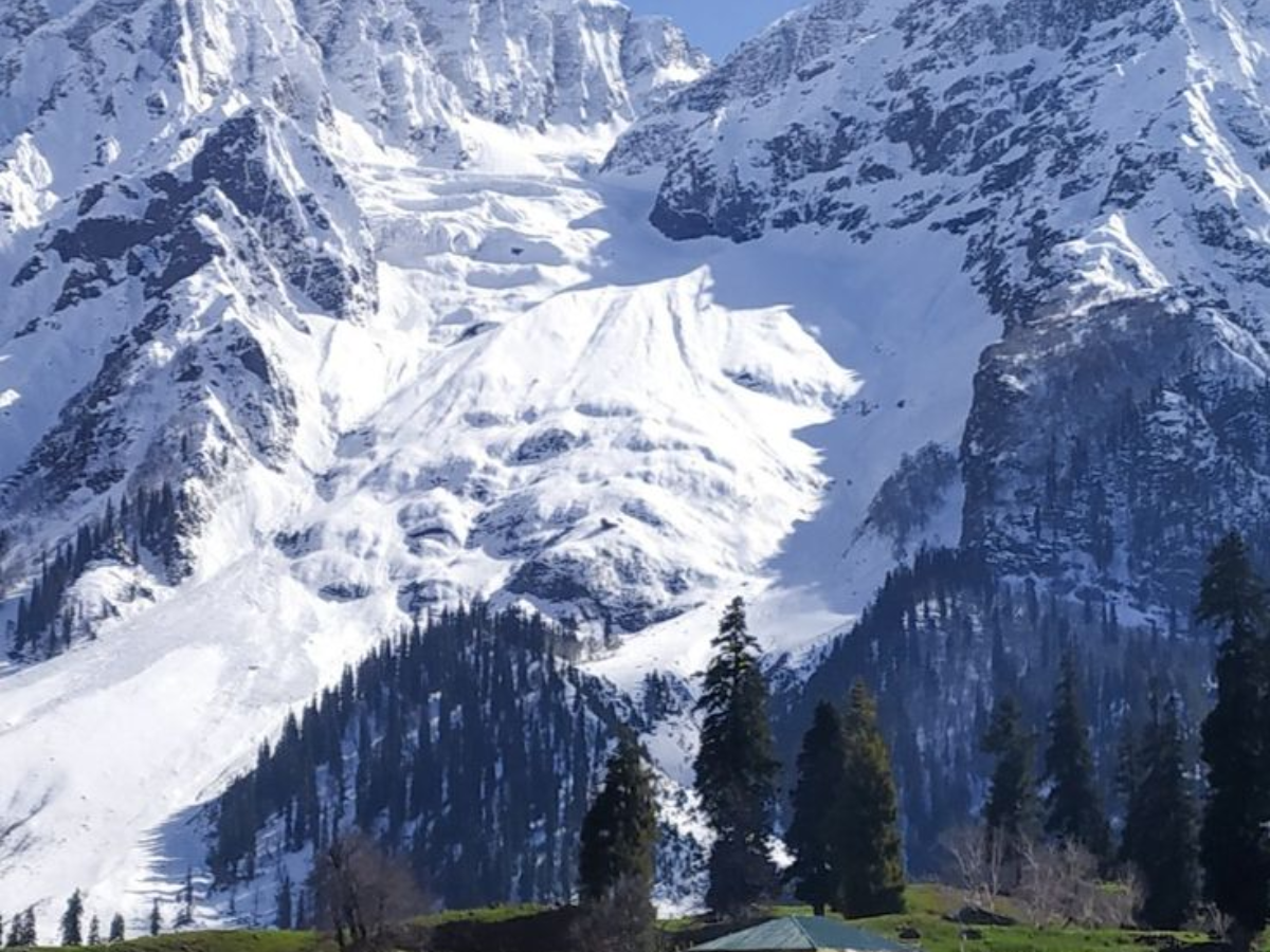 Best Travel Destinations: शिमला-मनाली नहीं, 2025 में भारतीयों की गूगल ट्रेंड लिस्ट में छाई ये बेस्ट डेस्टिनेशन - Photo Gallery