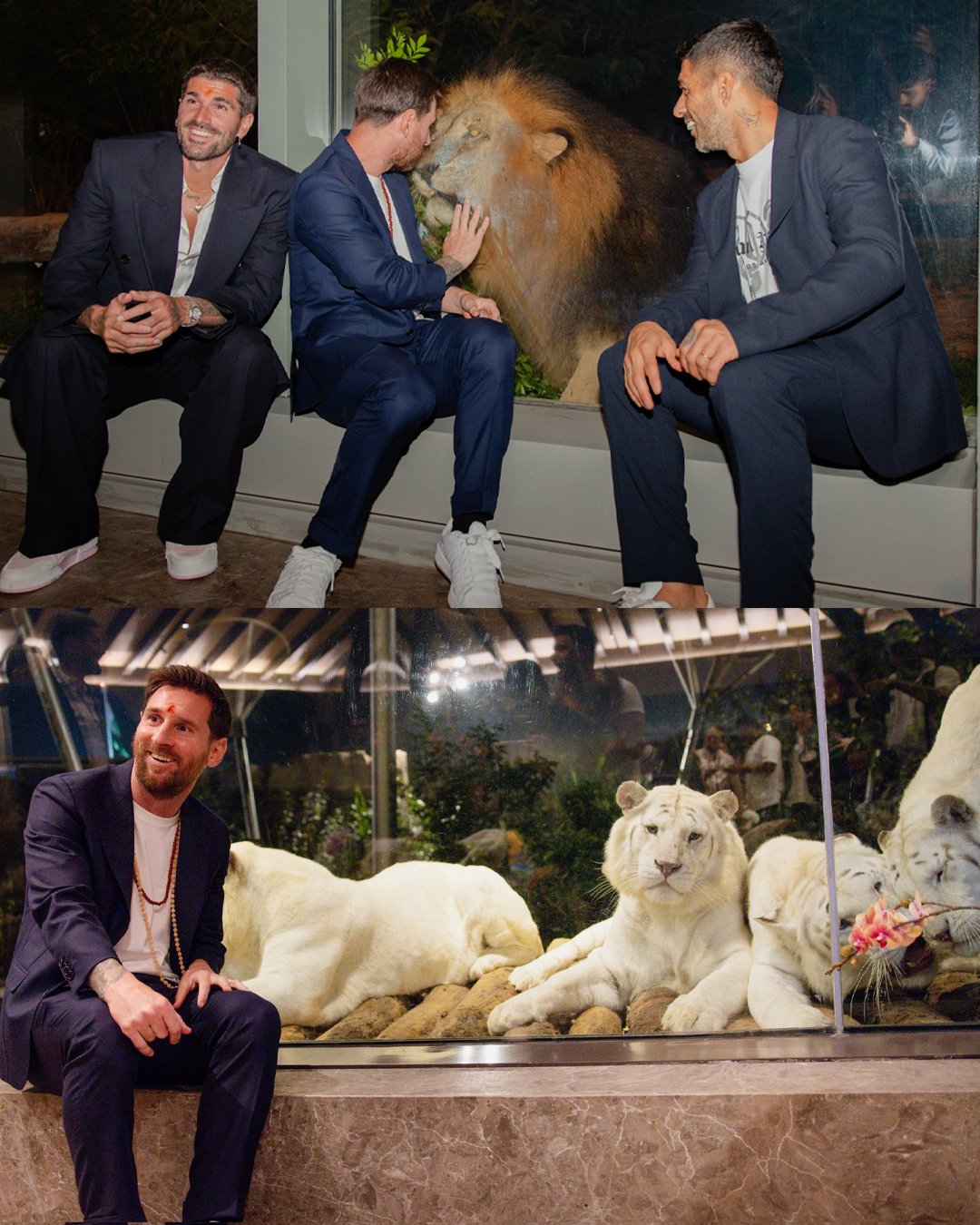 फुटबॉल किंग लियोनेल मेसी पहुंचे अनंत अंबानी के वनतारा, भगवान की पूजा कर लिया आशीर्वाद - Photo Gallery