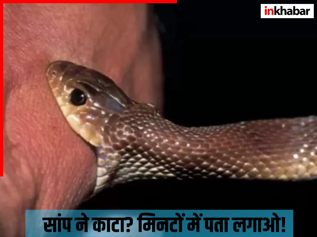 Snake Bite Treatment