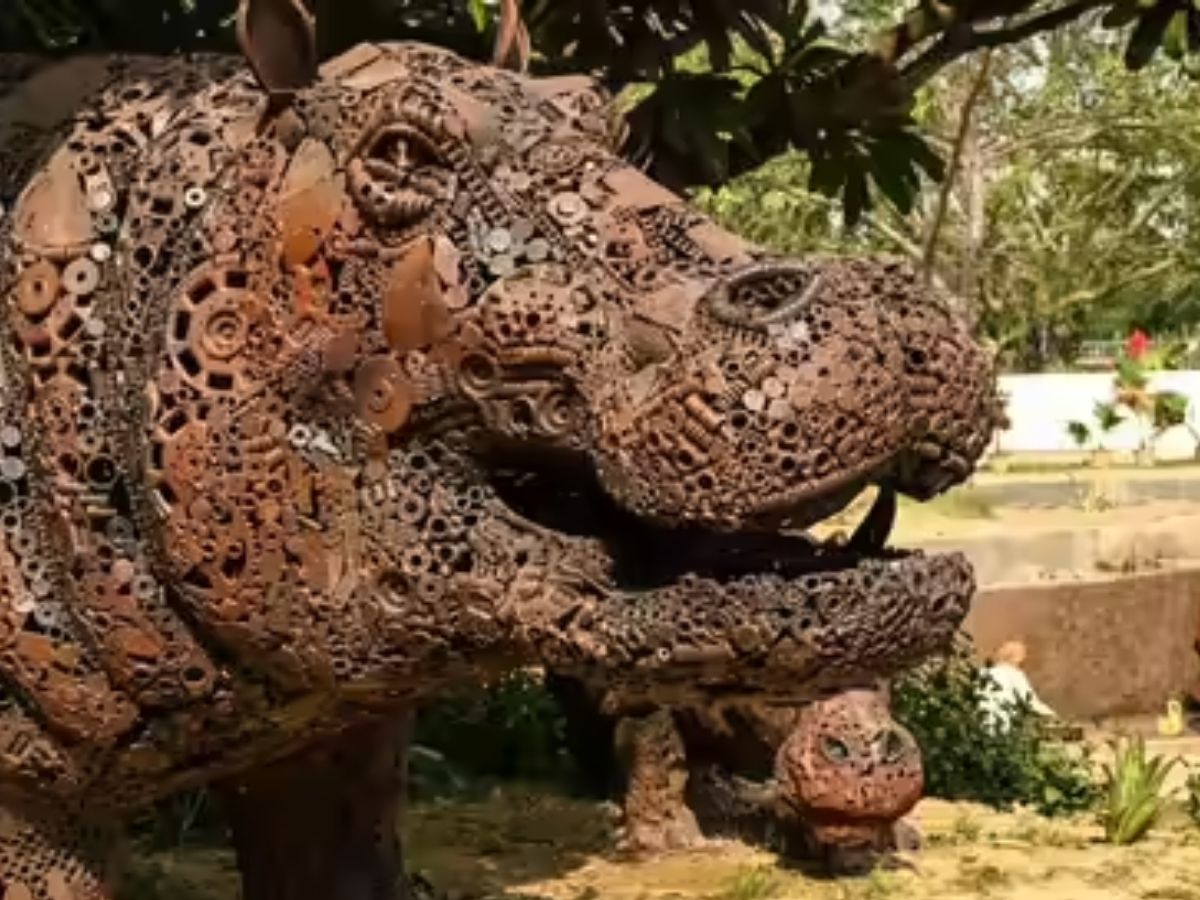 नोएडा में खुला दुनिया का सबसे बड़ा आर्टिफिशियल जंगल सफारी! घूमने की ये जगह देख भूल जाएंगे एडवेंचर पार्क - Photo Gallery