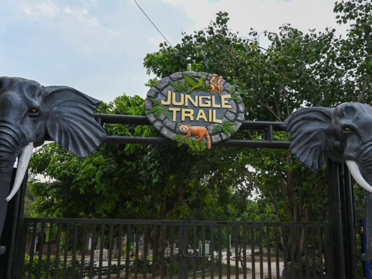 नोएडा में खुला दुनिया का सबसे बड़ा आर्टिफिशियल जंगल सफारी! घूमने की ये जगह देख भूल जाएंगे एडवेंचर पार्क - Photo Gallery