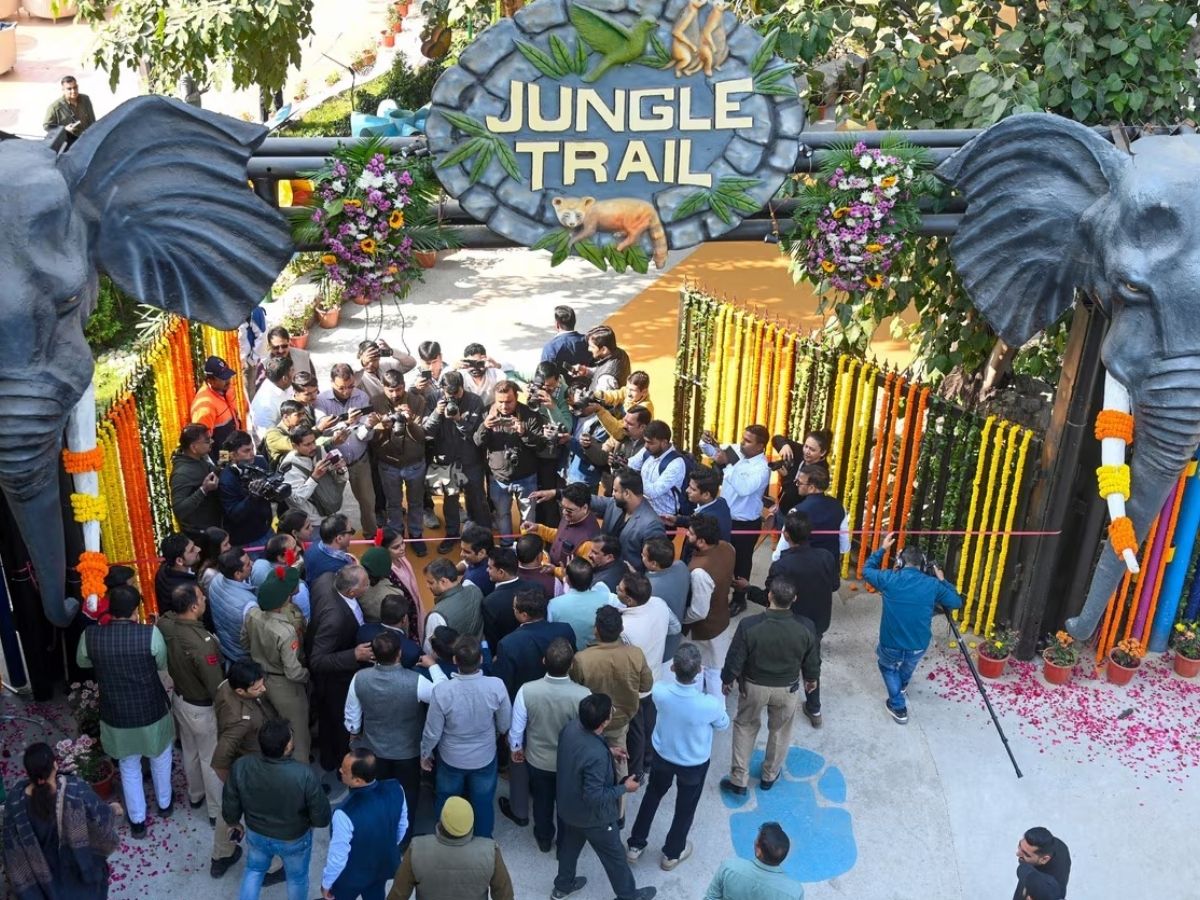नोएडा में खुला दुनिया का सबसे बड़ा आर्टिफिशियल जंगल सफारी! घूमने की ये जगह देख भूल जाएंगे एडवेंचर पार्क - Photo Gallery