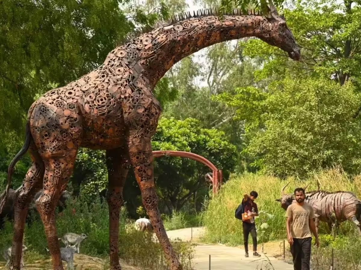 नोएडा में खुला दुनिया का सबसे बड़ा आर्टिफिशियल जंगल सफारी! घूमने की ये जगह देख भूल जाएंगे एडवेंचर पार्क - Photo Gallery