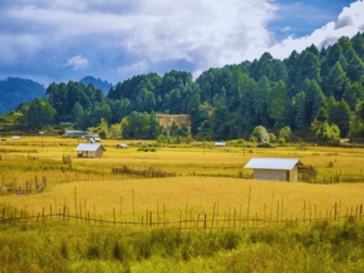 Offbeat Winter Spots 6 - Photo Gallery