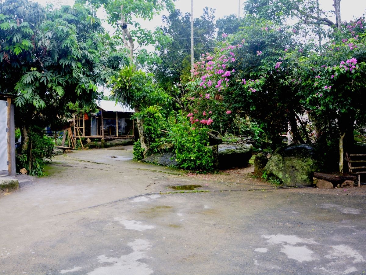 Eco-Friendly Year-End Holidays: भूल जाइए मनाली की भीड़! ये हैं देश-दुनिया की 10 सबसे प्रदूषण मुक्त जगहें, जहां बिना मास्क के मनाएं नए साल का जश्न - Photo Gallery