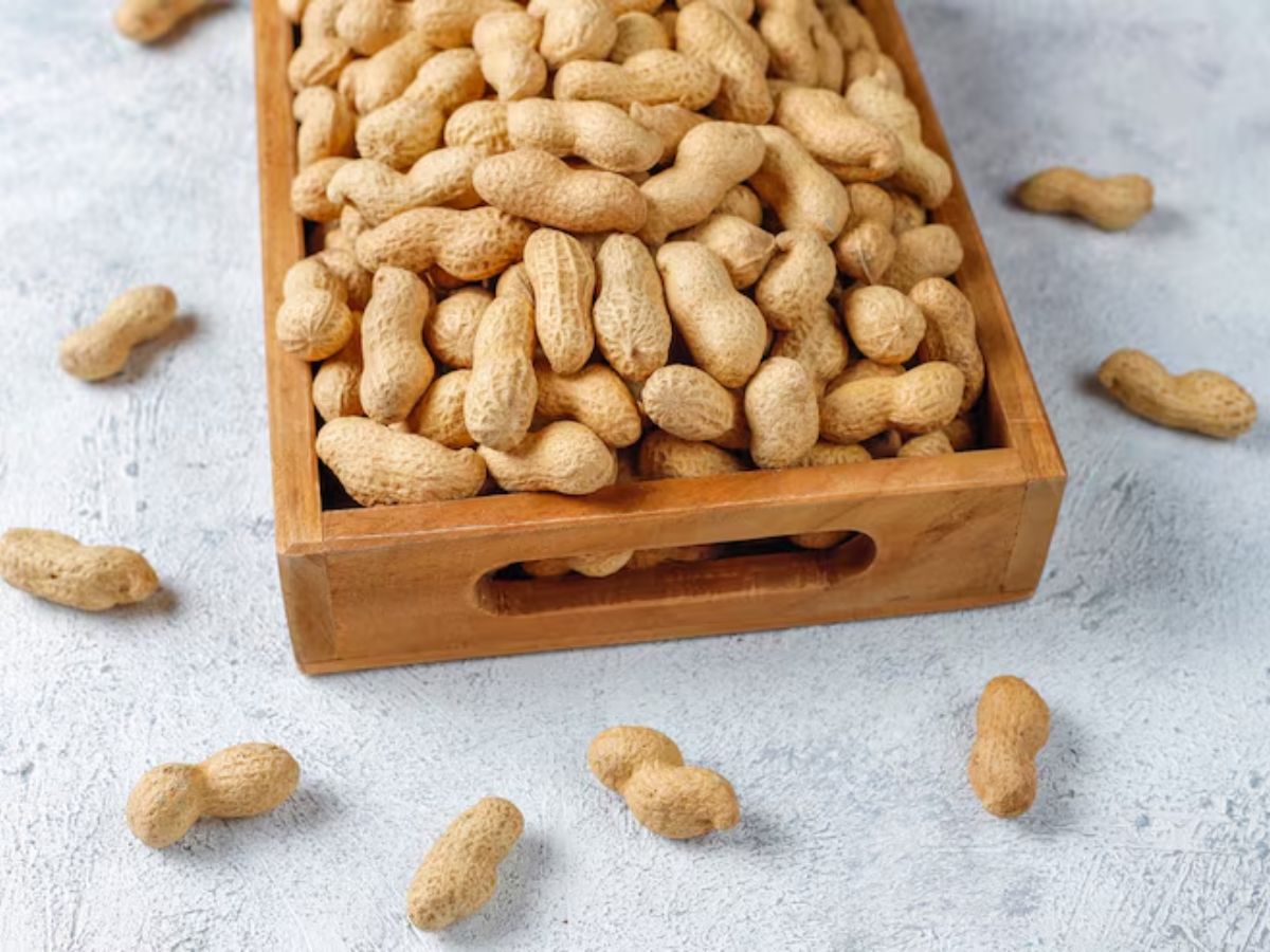 peanuts 6 - Photo Gallery